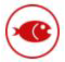 Fish Fish